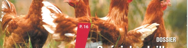 La Revue de l’Alimentation Animale – Modernisation des outils de conditionnement